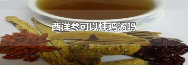 西洋参可以炖鸡汤吗