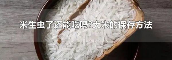 米生虫了还能吃吗?大米的保存方法