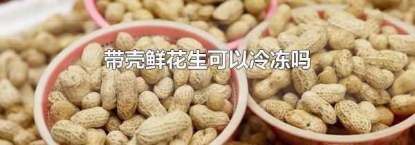 带壳鲜花生可以冷冻吗