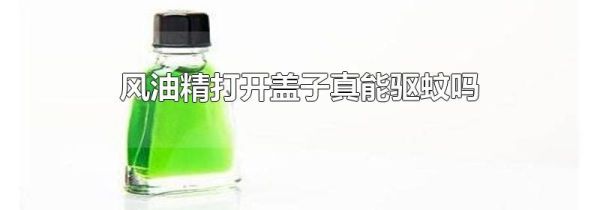 风油精打开盖子真能驱蚊吗
