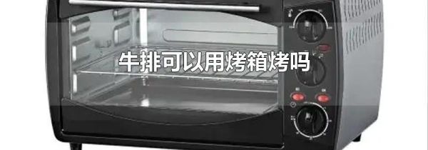 牛排可以用烤箱烤吗