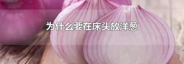 为什么要在床头放洋葱