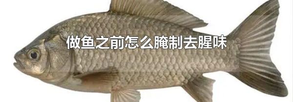 做鱼之前怎么腌制去腥味