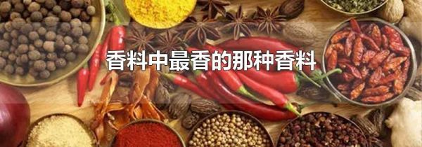 香料中最香的那种香料