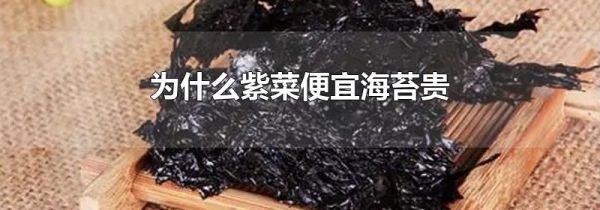 为什么紫菜便宜海苔贵