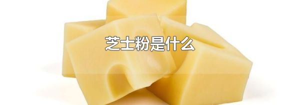 芝士粉是什么