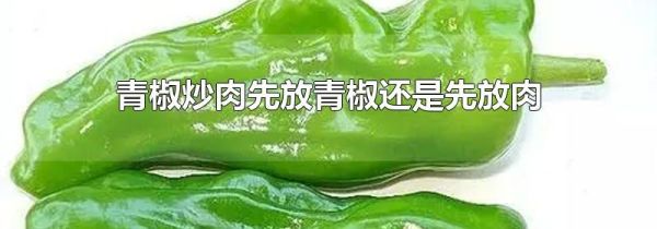 青椒炒肉先放青椒还是先放肉