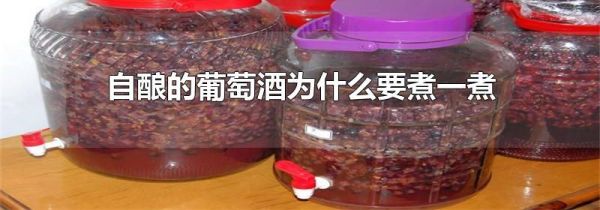 自酿的葡萄酒为什么要煮一煮