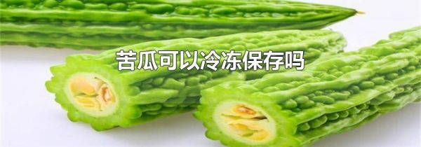 苦瓜可以冷冻保存吗