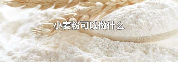 小麦粉可以做什么