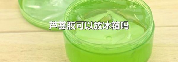 芦荟胶可以放冰箱吗