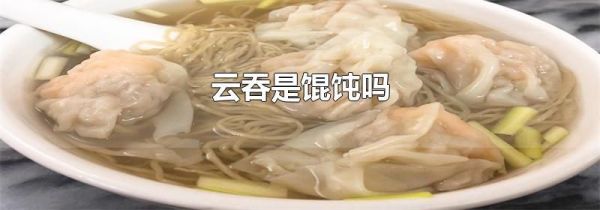 云吞是馄饨吗