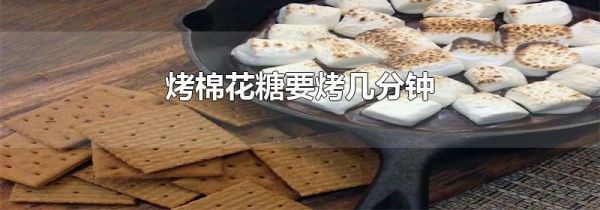 烤棉花糖要烤几分钟