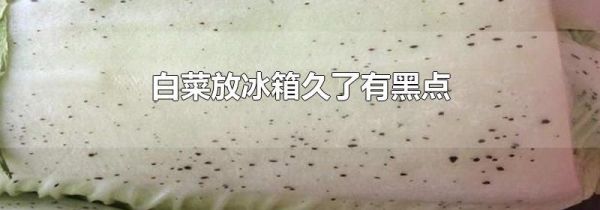 白菜放冰箱久了有黑点