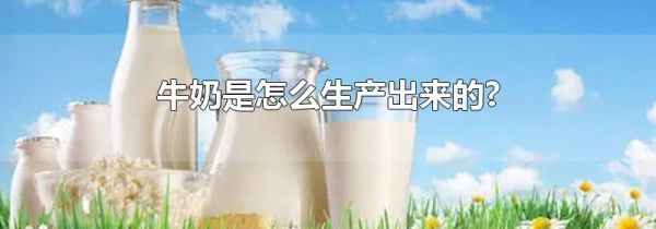牛奶是怎么生产出来的?