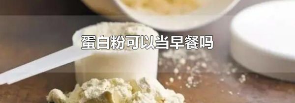 蛋白粉可以当早餐吗