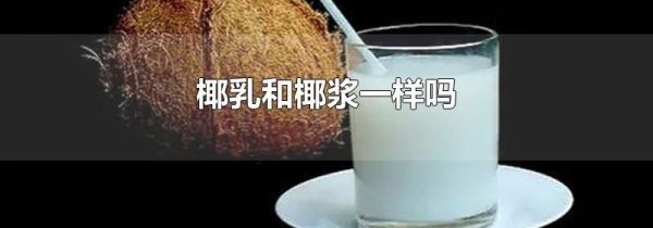 椰乳和椰浆一样吗