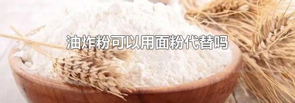 油炸粉可以用面粉代替吗