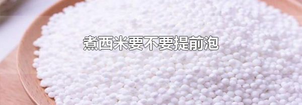 煮西米要不要提前泡