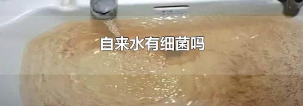 自来水有细菌吗