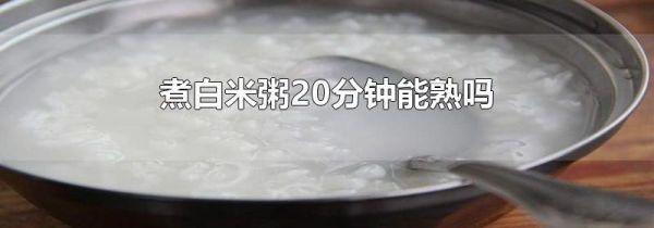 煮白米粥20分钟能熟吗