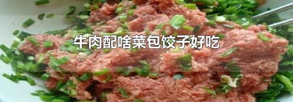 牛肉配啥菜包饺子好吃