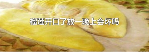 榴莲开口了放一晚上会坏吗