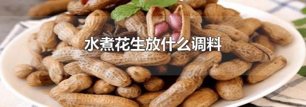 水煮花生放什么调料
