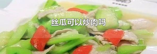 丝瓜可以炒肉吗