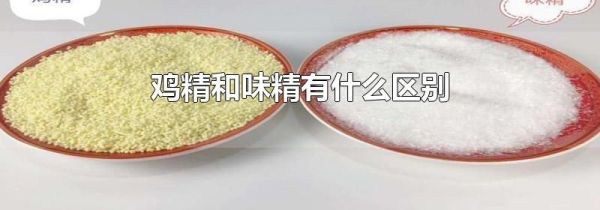 鸡精和味精有什么区别