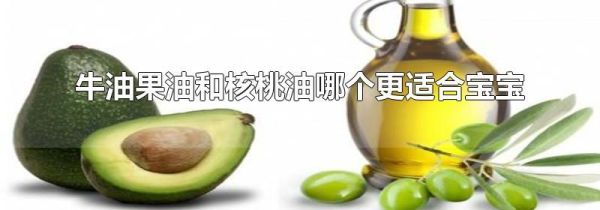 牛油果油和核桃油哪个更适合宝宝