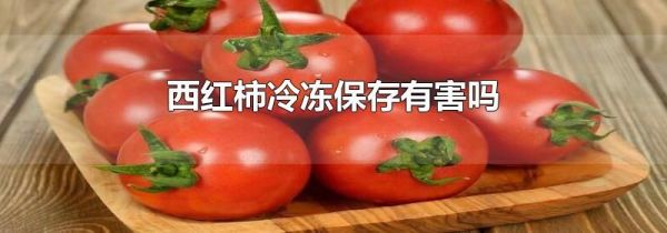 西红柿冷冻保存有害吗