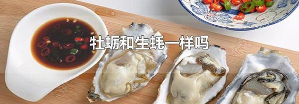 牡蛎和生蚝一样吗