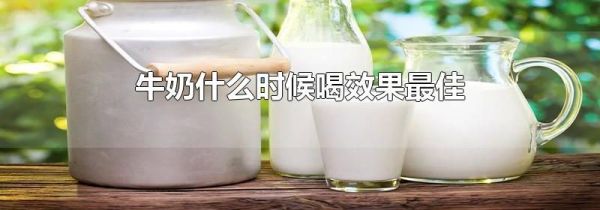牛奶什么时候喝效果最佳