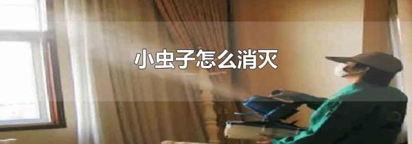 小虫子怎么消灭