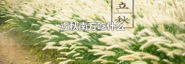 立秋南方吃什么