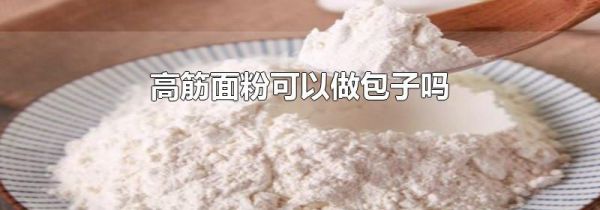 高筋面粉可以做包子吗