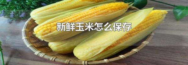 新鲜玉米怎么保存