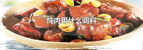 炖肉用什么调料