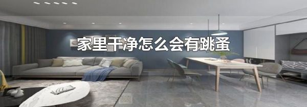 家里干净怎么会有跳蚤