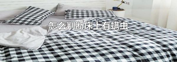 怎么判断床上有螨虫