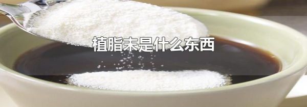 植脂末是什么东西