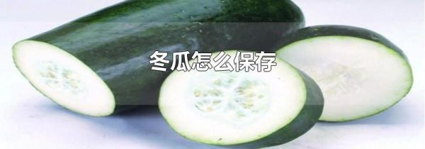 冬瓜怎么保存