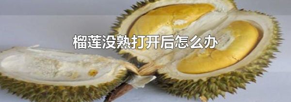 榴莲没熟打开后怎么办
