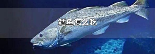 鳕鱼怎么吃