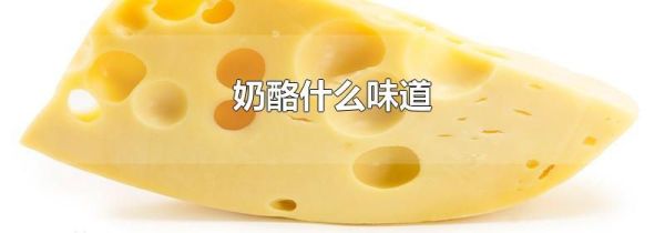 奶酪什么味道