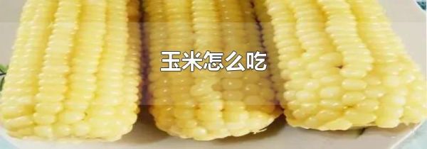 玉米怎么吃