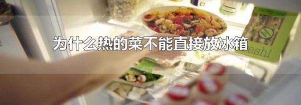 为什么热的菜不能直接放冰箱