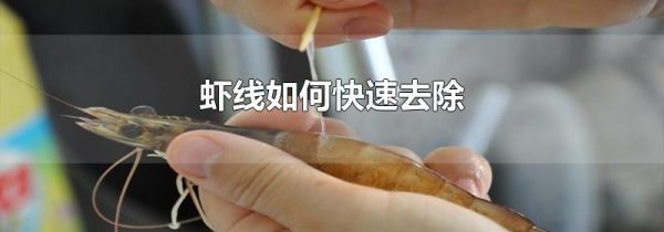 虾线如何快速去除
