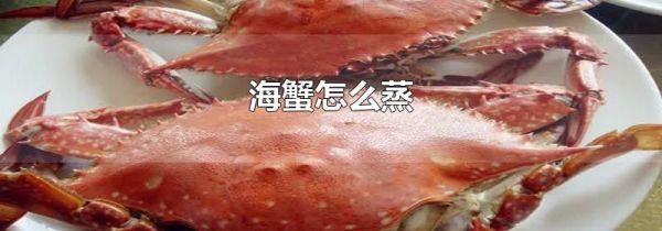海蟹怎么蒸